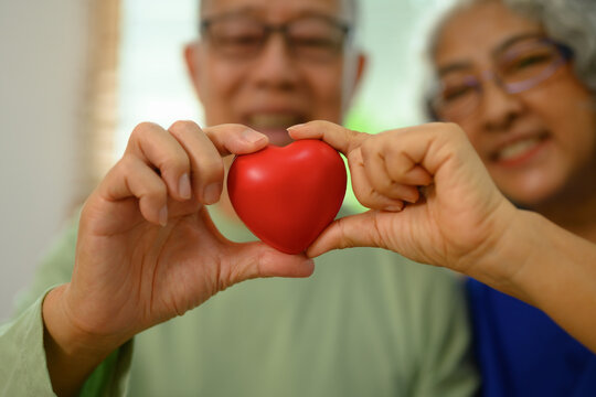 Happy seniors couple holding red heart. Love, health care and medical concept