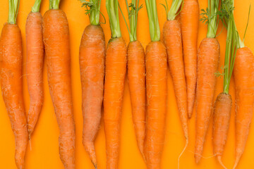 Bunch of fresh carrots closeup, top view