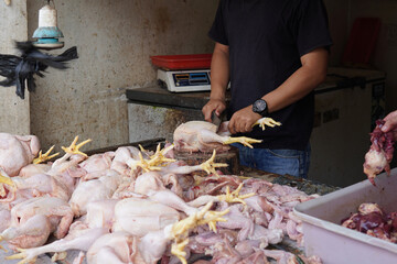 fresh chicken in market