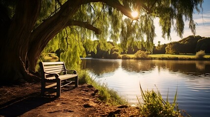 A peaceful setting with a bench under a tree next to a calm lake