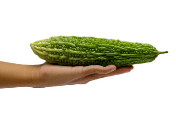 In Good Hands: Bitter Gourd Ready for Preparation
