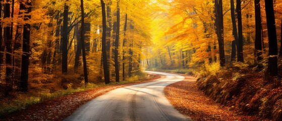 A winding dirt road disappearing into a vibrant autumn forest with colorful foliage, ideal for peaceful nature themes,