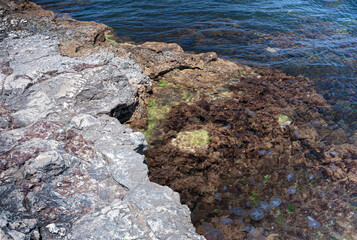 Rocky coast, wild beach, near the ancient city of Chersonesus, Crimean peninsula