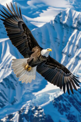 Obraz premium A bald eagle soars gracefully over a rugged mountain range, showcasing its powerful wingspan and majestic presence in the wild