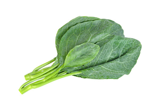 Chinese kale isolated.  Green leaves of collards pattern
