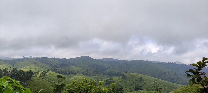 Vagamon Meadows