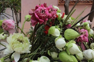 a shot of lotus at the country side