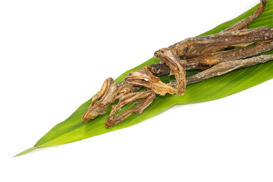 Dry sea fish Bombay duck, bummalo, bombil, and boomla is a species of lizardfish or lota fish. Dried loitta on turmaric leaf.