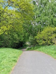 footpath in the park