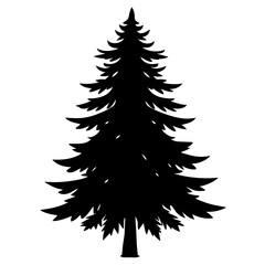 Obraz premium christmas tree isolated