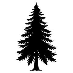 Obraz premium christmas tree isolated