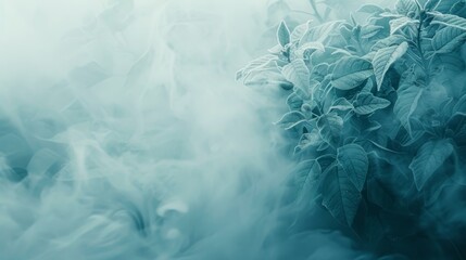  A tight shot of a green plant exuding smoke from its peak against a backdrop of a tranquil blue sky