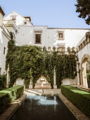 Building patio courtyard with a pool of water in the gardens of Real Alcazar de Seville