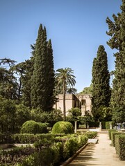Palm trees and buildings in the gardens of Real Alcazar de Seville
