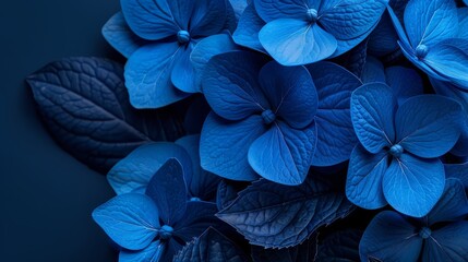   A cluster of blue blooms situated on a blue backdrop, each bearing foliage atop