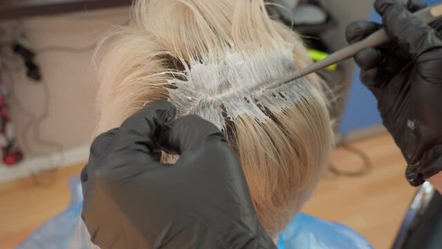 hair coloring in blonde. beauty salon. lightening hair with blondor powder