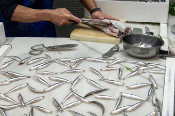Close up of hands of fishmonger in his stand while gutting and cleaning fish and anchovy on ice in...