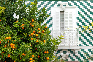 Close up of the façade of a house in Andalusia, Spain with white and green tiles around a window with shutters and branches of an orange tree in front with ripe orange fruit
