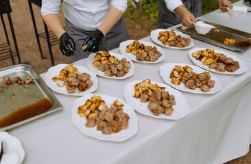 The chef lays out kebabs made of chicken, pork, veal meat on plates. Barbecue party in nature
