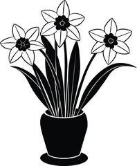 Daffodil Vector illustration silhouette image 