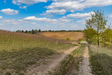 a dirt road among endless fields, a tree by the side of the road, a sunny spring day