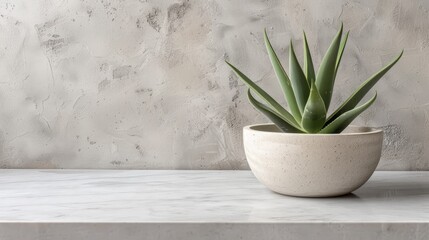   A potted plant atop a white table, nearby a gray-and-white wall in a room