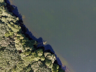 Aerial top down of lake and trees in Grunewald forest on a sunny summer day in Berlin