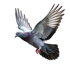 A pigeon with its wings spread is flying in the air.
