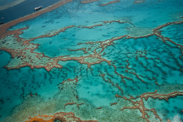 Aerial view of Great Barrier Reef coral reef structure in Whitsundays, Aerilie beach, Queensland,...