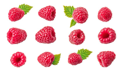 Set of raspberries isolated on transparent background