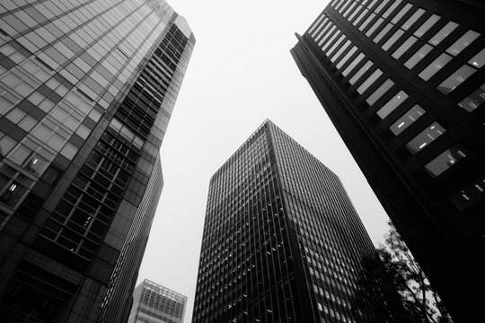 A striking black and white image of towering city buildings. Perfect for architectural and urban design projects