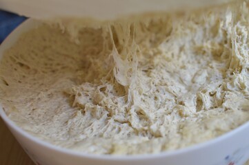 Yeast dough in a container with a lid