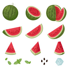 Watermelon set, watermelon half, slices, pieces, seeds, mint leaves, ice cube