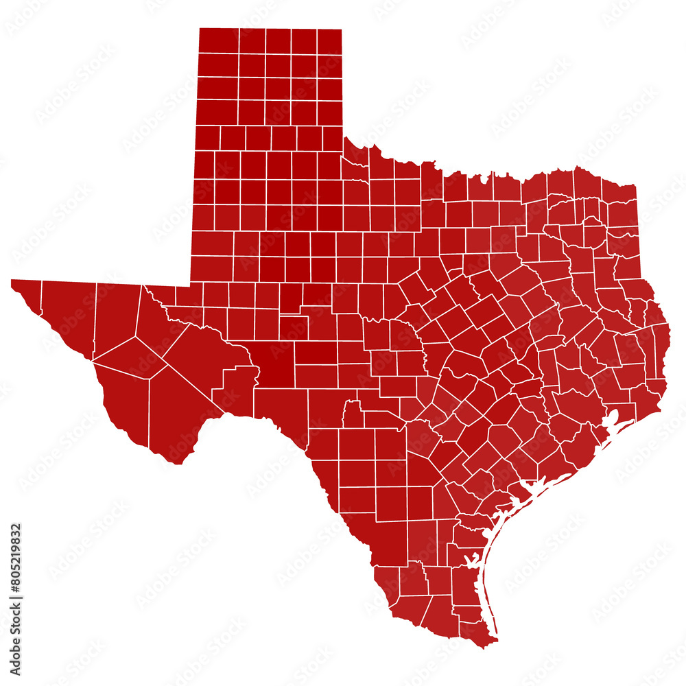 Wall mural High detailed illustration map - outline Texas State Map