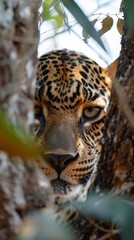 Close-up of AI-powered cameras capturing wildlife behavior in a protected area for conservation purposes - obrazy, fototapety, plakaty