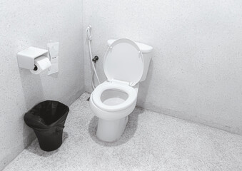 White toilet bowl in bathroom corner. Toilet paper with sanitary bag and trash can. Clean toilet...