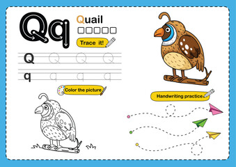 Illustration Isolated Animal Alphabet Letter Q-quail