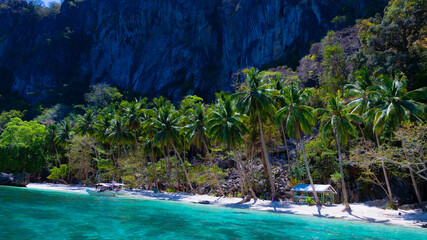 Obraz premium Banner travel with palm tree and Tropical beach as blue of seashore tropical scenery - el-nido,palawan,Philippines