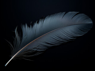 An artistic display of a black feather against a deep, shadowy background, blending minimalism with drama
