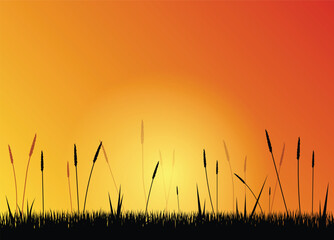 Field at Sunset with Grass Silhouette. Nature and landscapes concept vector art