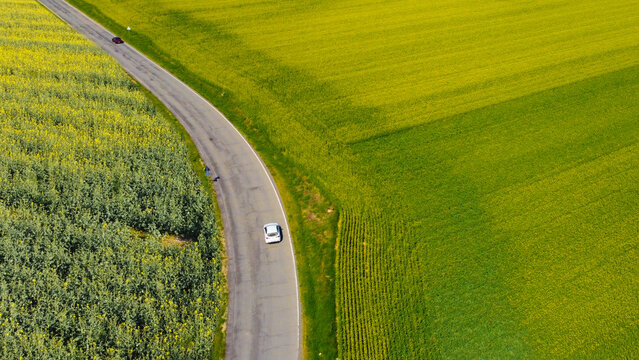 Aerial drone view of two cars driving along a country road, Spinetta Marengo, Piedmont, Italy
