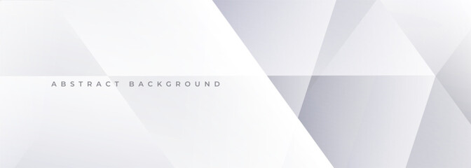 Fototapeta premium White and grey 3d modern abstract background with polygonal texture. Soft gray wide abstract banner. Vector illustration