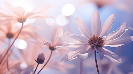 close blurred interior flowers
