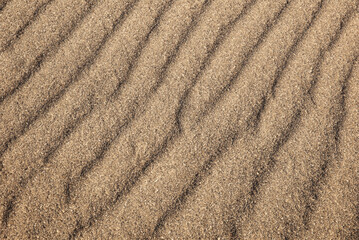 Close Up Ground Texture, Detailed View.