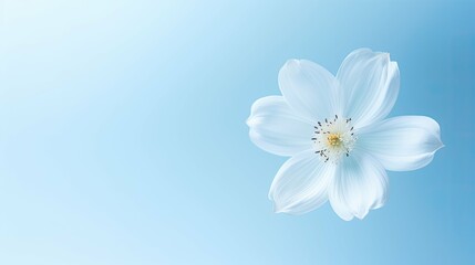 peaceful light blue background