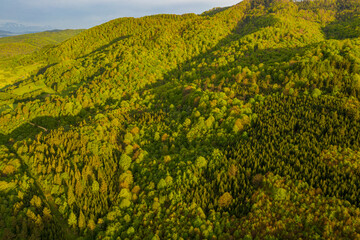 Góry Leluchowskie, Beskid Sądecki, Dubne, Małopolska, Poland Wiosna 