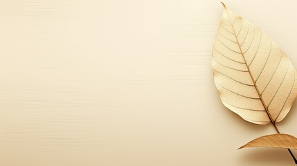 earthy light brown background