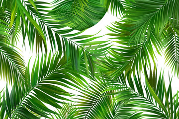 Palm Leaves, Tropical palm fronds swaying in the breeze, Seamless pattern illustration 
