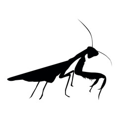 Mantis or Grasshoppper Silhouette