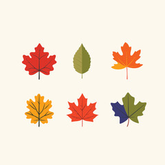 Autumn leaves vector illustration displaying various leaf shapes colors. Simplified botanical collection includes red, green, yellow, purple leaves representing fall season. Flat design autumnal